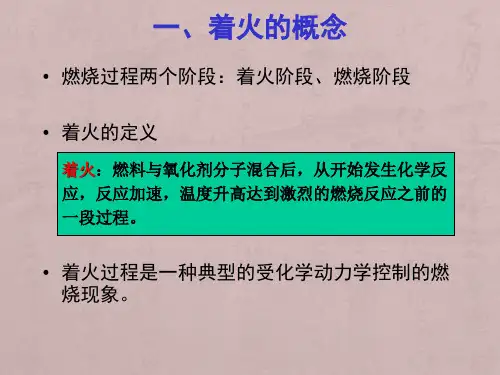 燃烧学第五章