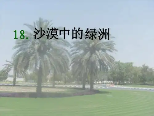 《沙漠中的绿洲》课件
