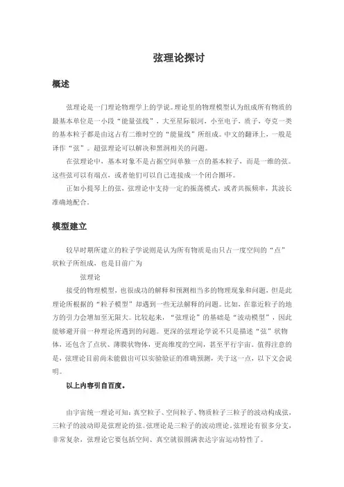 中国大设计——弦理论探讨