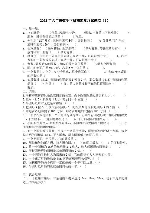 2023年六年级数学下册期末复习试题卷(1)