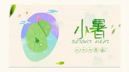 二十四节气小暑ppt模板
