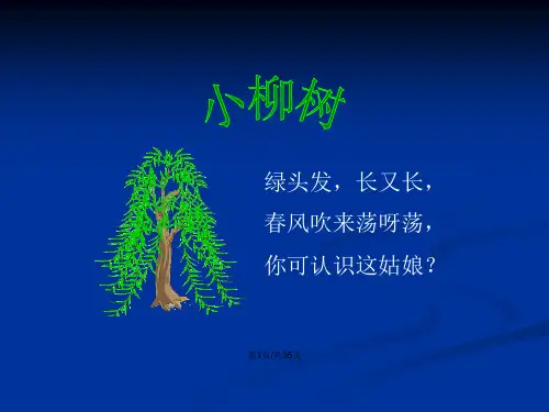 人教小学二年级语文上册小柳树和小枣树