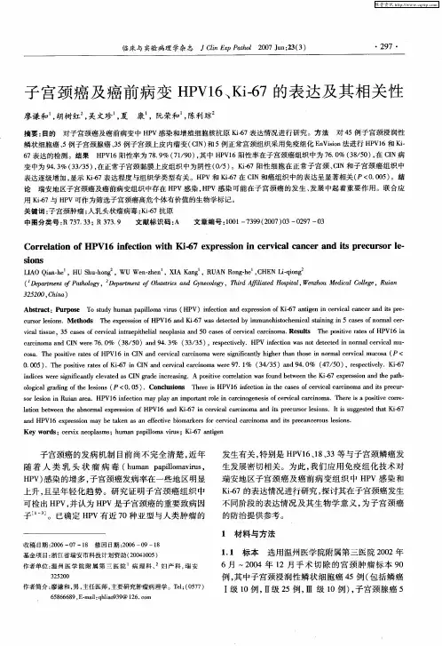 子宫颈癌及癌前病变HPV16、Ki-67的表达及其相关性