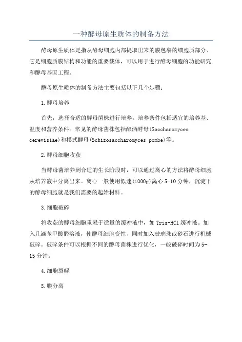 一种酵母原生质体的制备方法