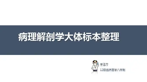 病理解剖学大体标本整理_李泽方