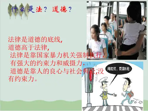 民航法律法规基本概述PPT课件(57页)全