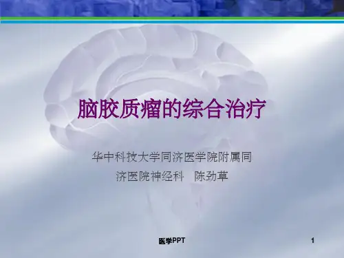 《脑胶质瘤的治疗》PPT课件