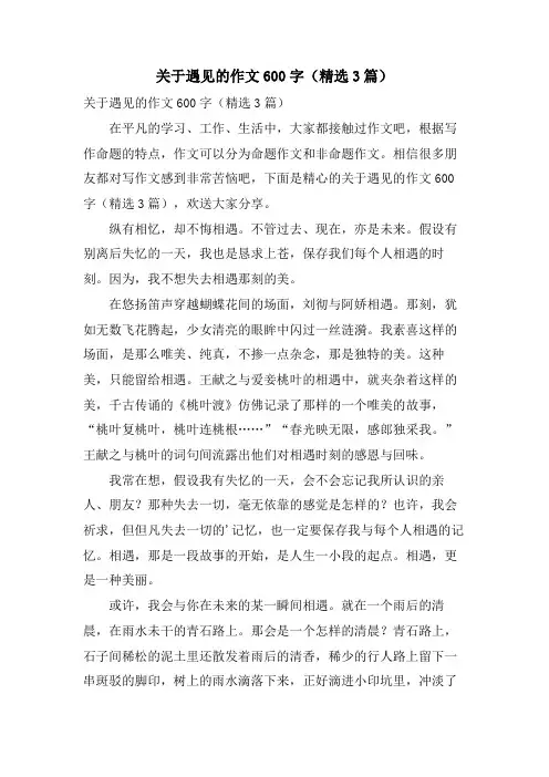 关于遇见的作文600字(3篇)
