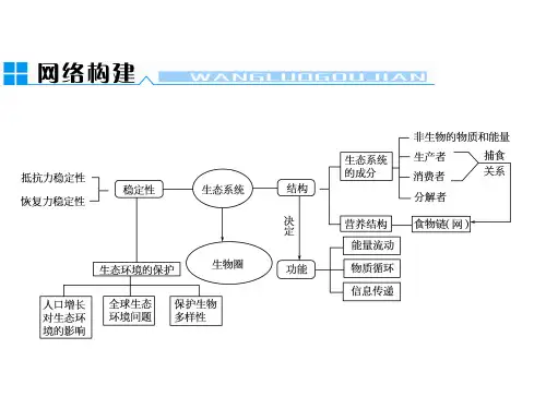 生态系统的结构生态系统组成成分