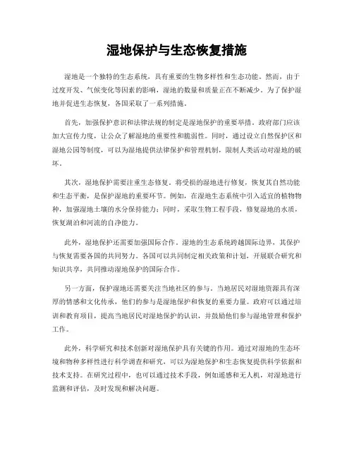 湿地保护与生态恢复措施
