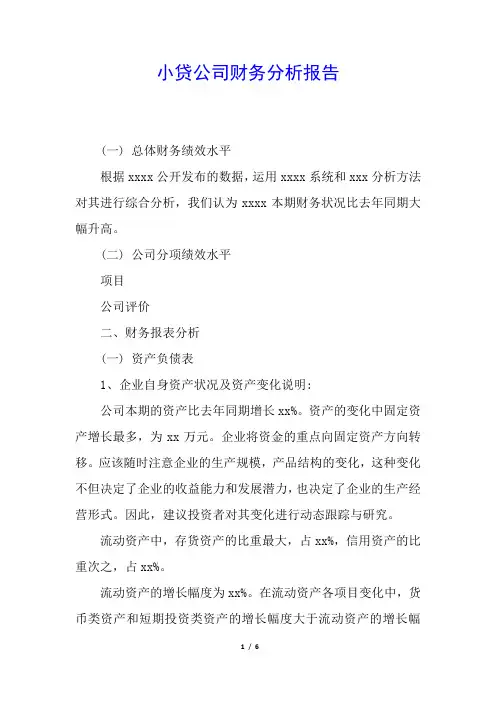 小贷公司财务分析报告