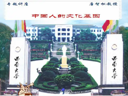 中国人的文化基因