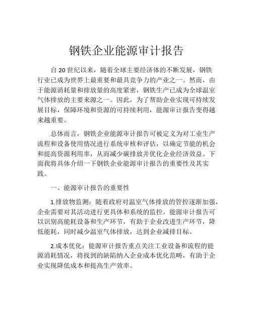 钢铁企业能源审计报告
