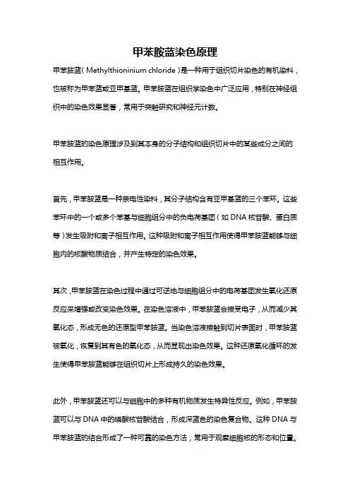甲苯胺蓝染色原理