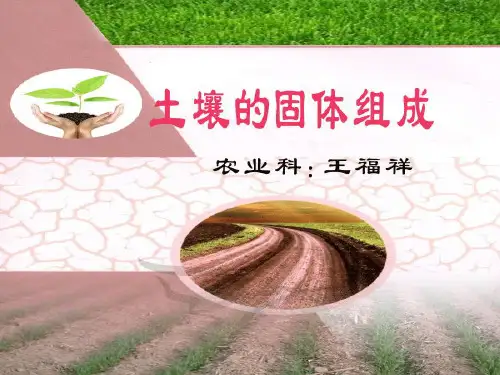 土壤固体组成