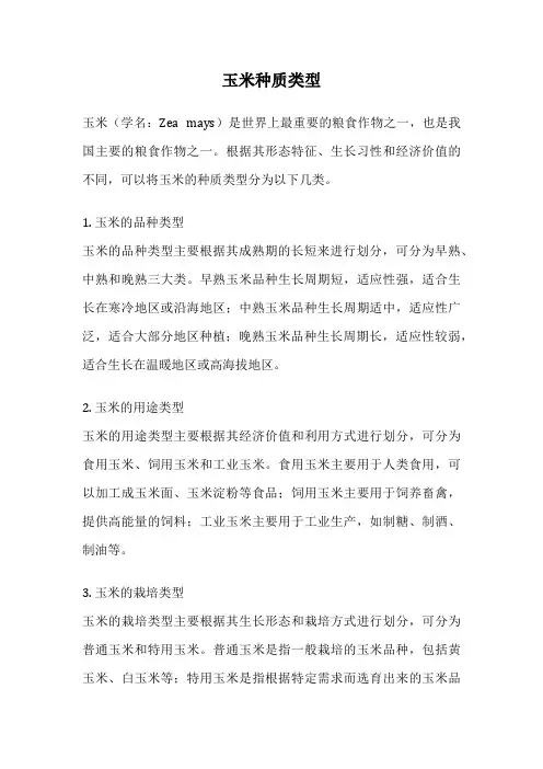 玉米种质类型