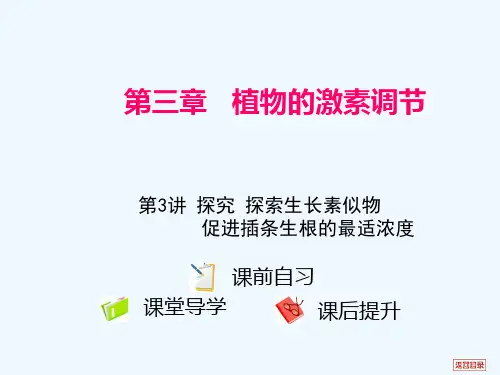 高考生物第三章植物的激素调节第三讲探究探索生长素似物促进插条生根的最适浓度课件