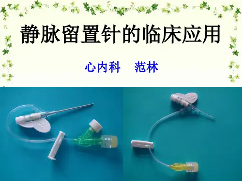 新静脉留置针精品PPT课件