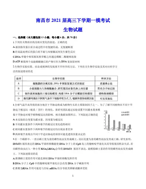 南昌市2021届高三下学期一模 生物试题(含答案)