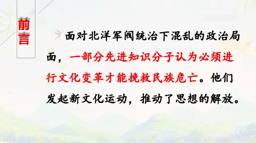 人民版-新文化运动优质课件