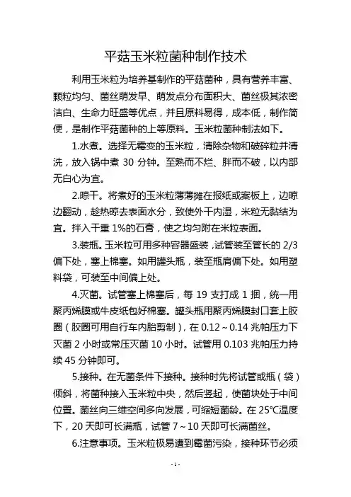平菇玉米粒菌种制作技术