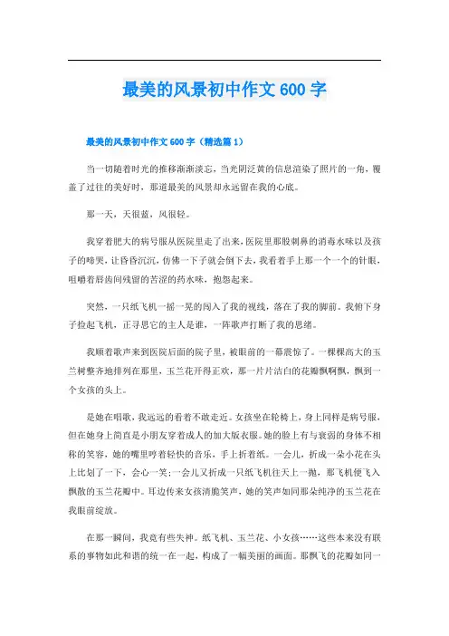 最美的风景初中作文600字