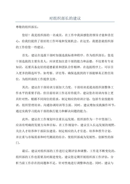 对组织部长的建议