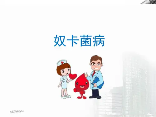 奴卡氏菌病医学PPT课件