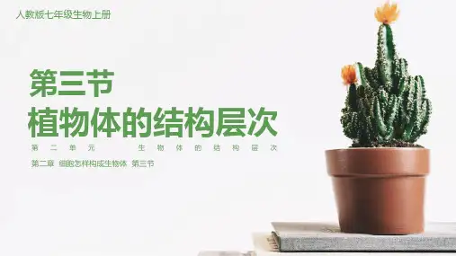 《植物体的结构层次》PPT课件