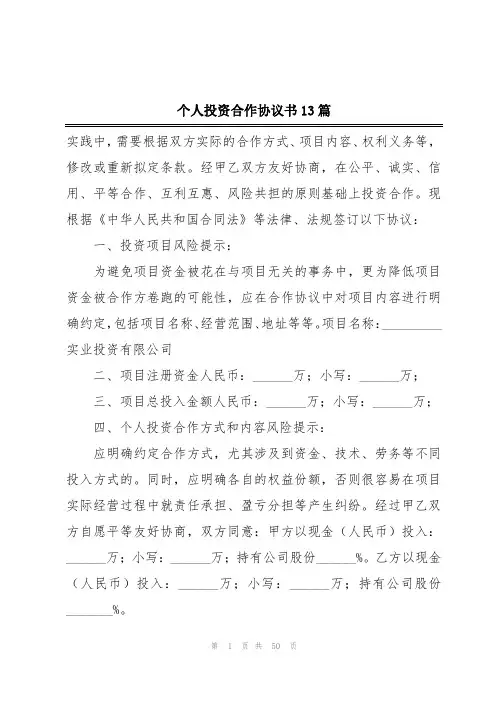 个人投资合作协议书13篇