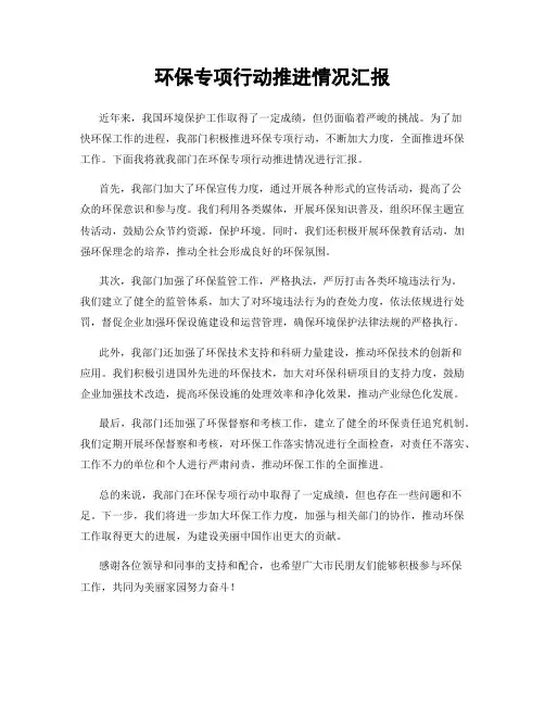 环保专项行动推进情况汇报