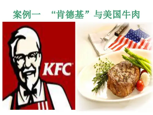 市场营销环境分析案例之一推荐课件