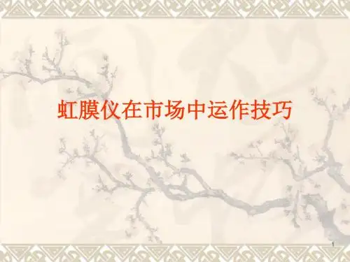 虹膜仪在市场中运作技巧ppt课件