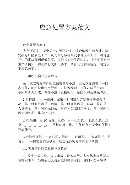 应急处置方案范文