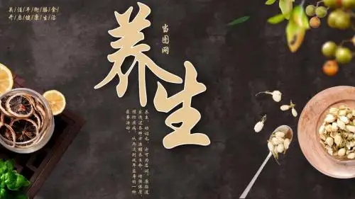 简约中国风膳食养生四季养生PPT模板