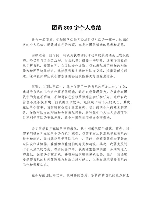 团员800字个人总结