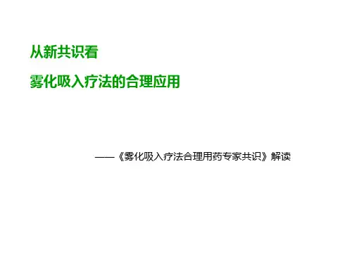 雾化吸入合理用药专家共识解读[优质PPT]可修改全文
