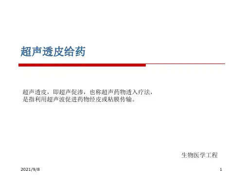 [超声透皮给药]报告