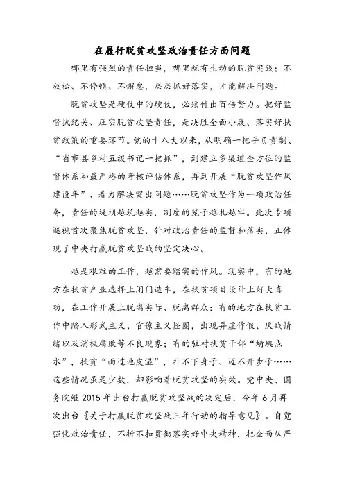 在履行脱贫攻坚政治责任方面问题