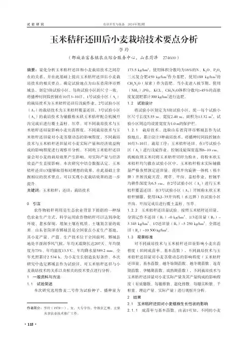 玉米秸秆还田后小麦栽培技术要点分析