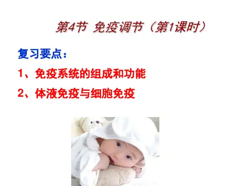 免疫调节复习公开课