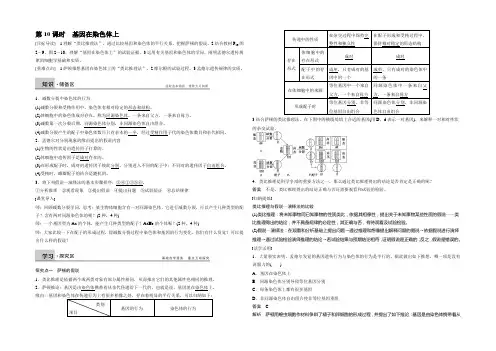 【创新设计】2021年高中生物人教版必修二课时作业：第二章 基因和染色体的关系 第10课时