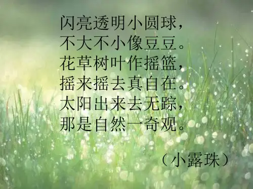三年级上册《小露珠》ppt课件01(1)