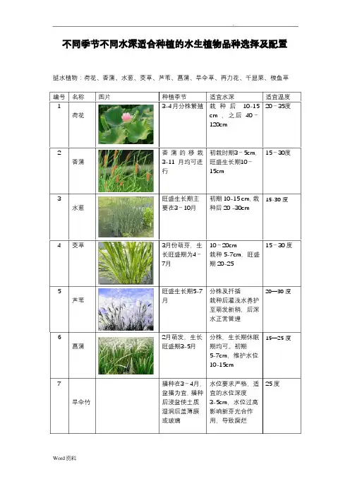 不同季节不同水深适合种植的水生植物选择