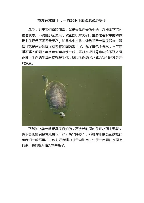 龟浮在水面上，一直沉不下去该怎么办呀？