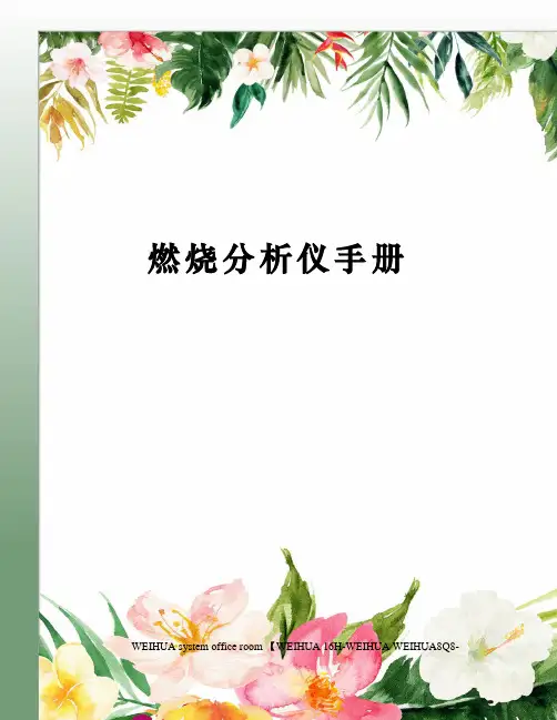 燃烧分析仪手册修订稿