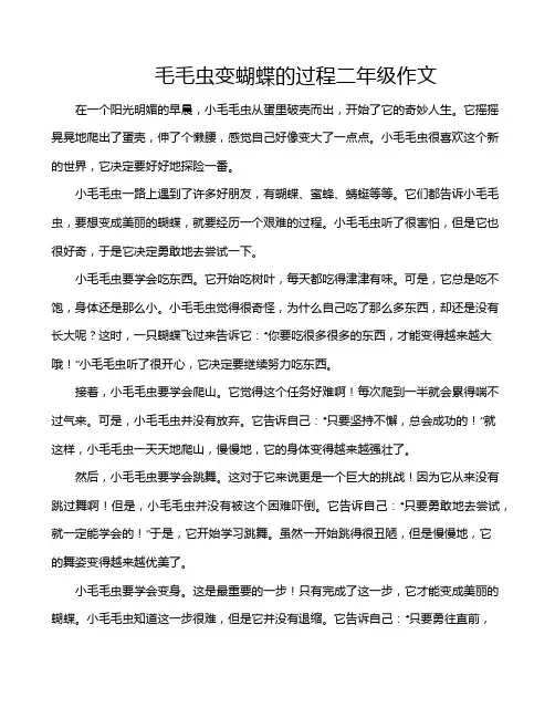 毛毛虫变蝴蝶的过程二年级作文