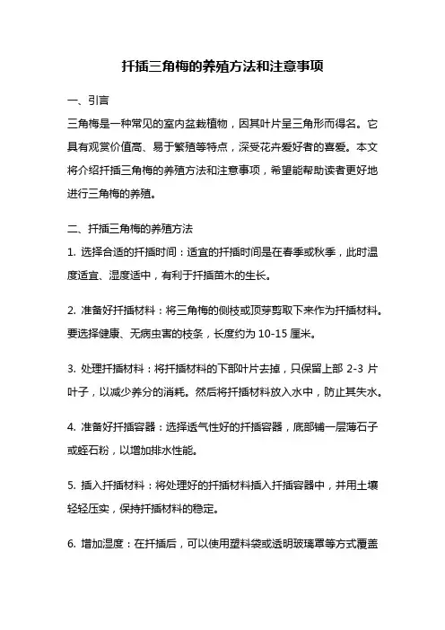 扦插三角梅的养殖方法和注意事项