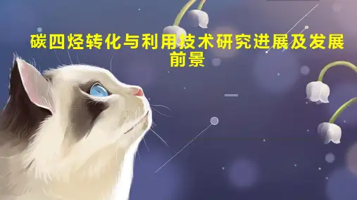 碳四烃转化与利用技术研究进展及发展前景
