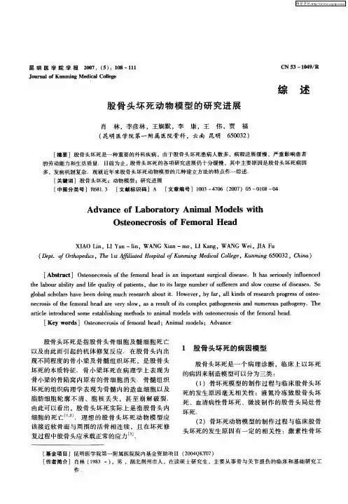 股骨头坏死动物模型的研究进展
